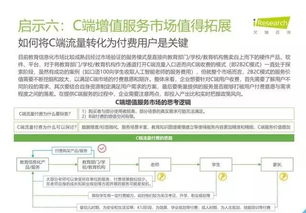2019年中国教育信息化行业报告 信息技术咨询服务